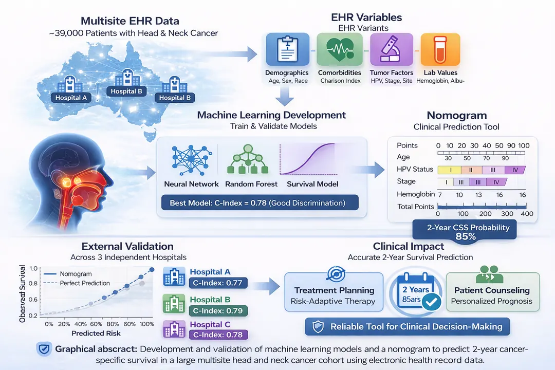 Development and validation of machine learning models and a nomogram to predict 2-year cancer-specific survival in a large multisite head and neck cancer cohort using electronic health record data.